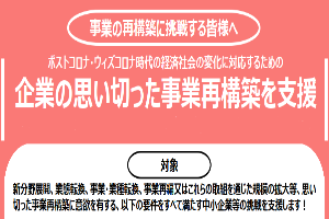 事業再構築補助金